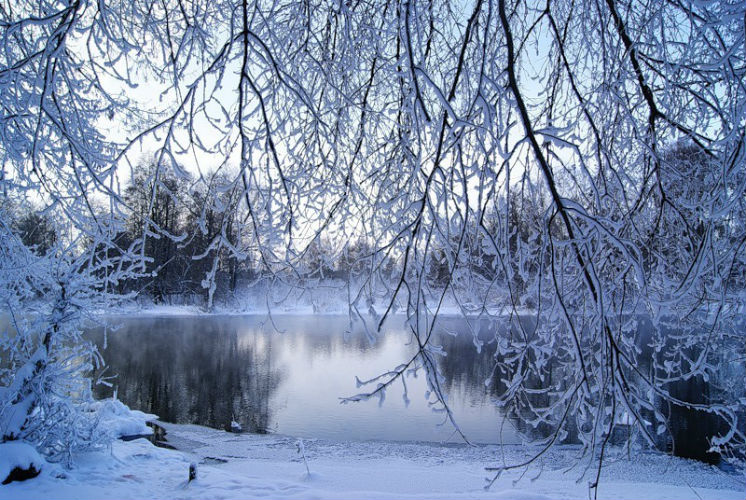 Рыбалка на озере Черное в Ленинградской области: особенности, снасти, прогноз погоды